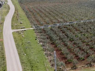 Didim Satılık Arsa 2. görünüm