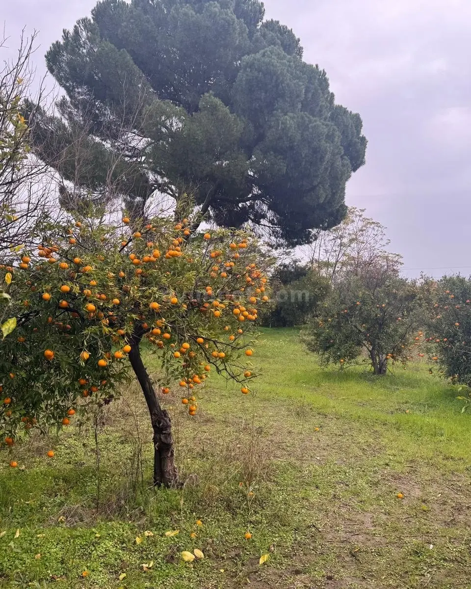 Köyceğiz Satılık Arsa — 1