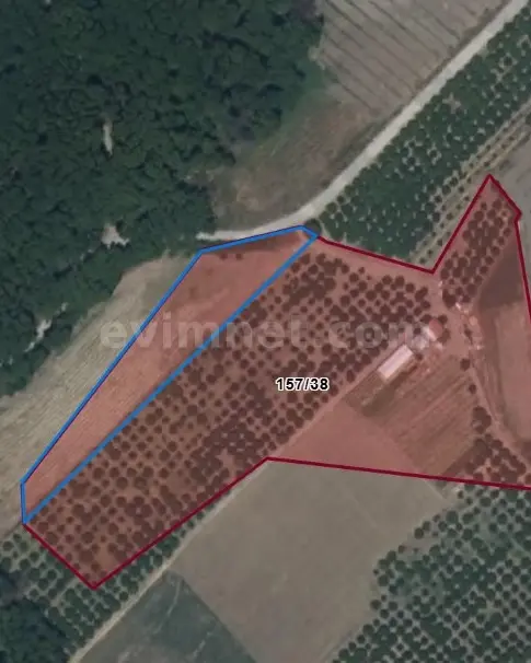 Köyceğiz Satılık Arsa — 4