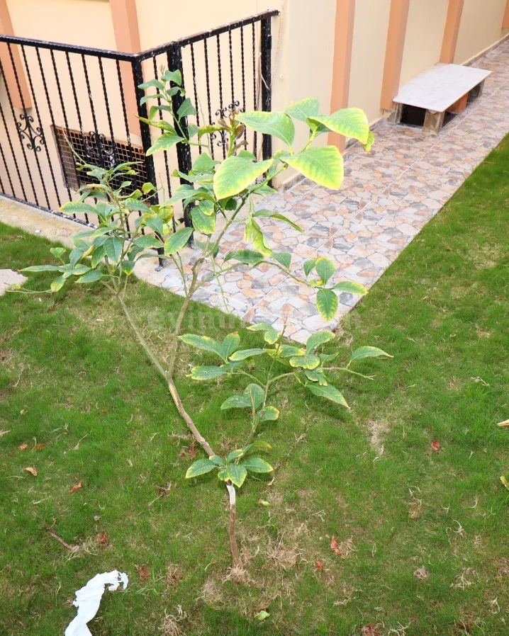 Seferihisar Satılık Daire — 5