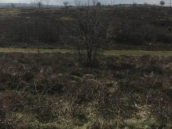Pendik Satılık Arsa 2. görünüm