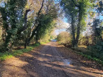 Köyceğiz A vendre Terrain